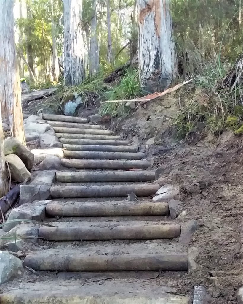 Photo of new steps installed on the Nierinna Creek Track in August 2020
