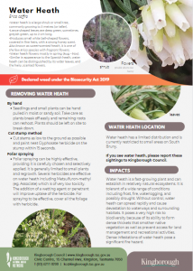 Weed of the month - flyer - water heath