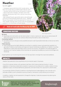 Weed flyer Heather feb 2024