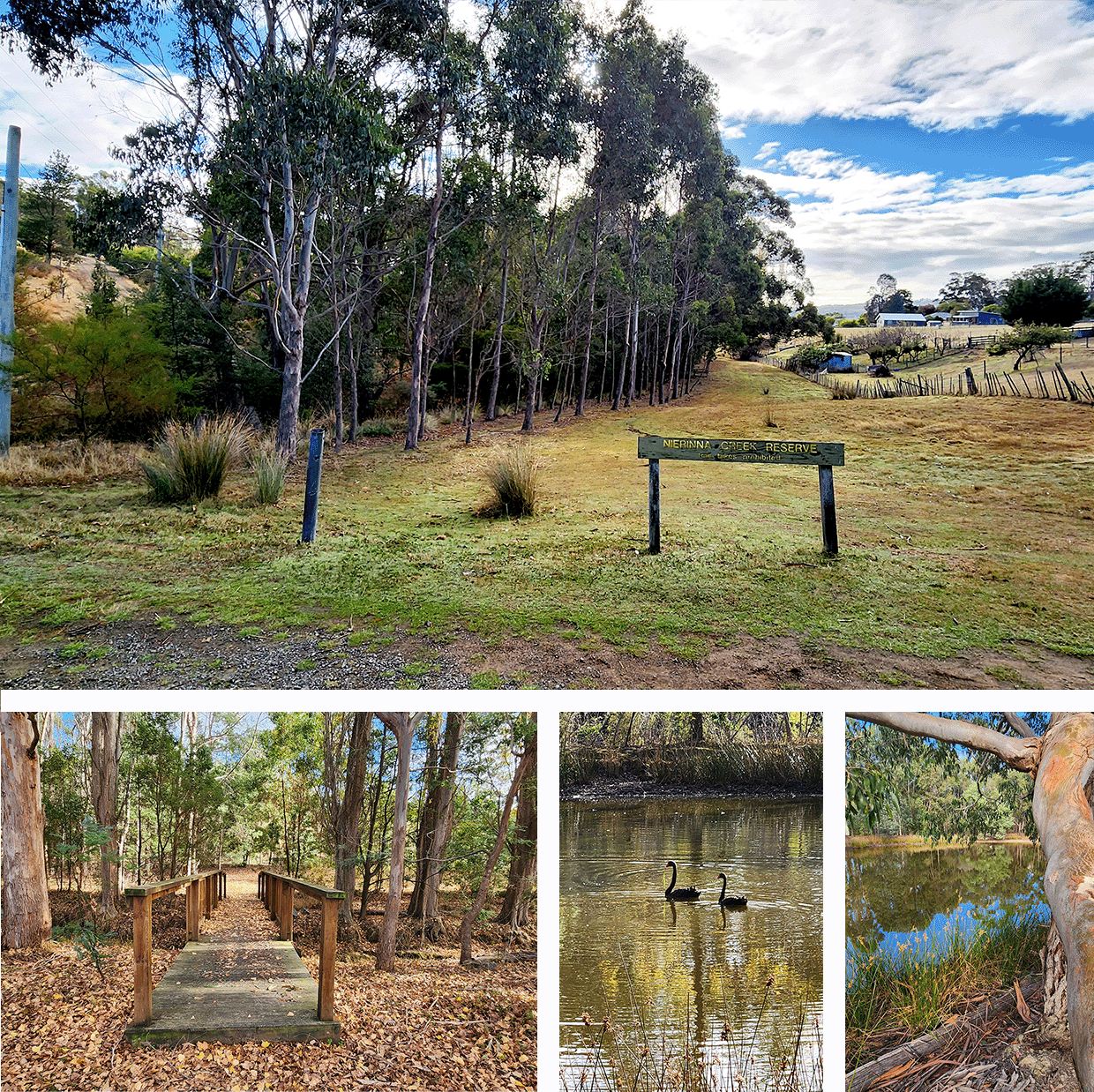 Nierinna Creek Reserve