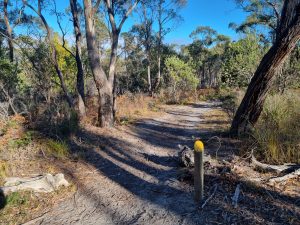 Algona reserve - new nature trail bollard 2