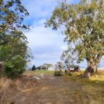 Browns river reserve