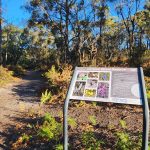 Denison Street Reserve