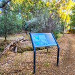 Mary knoll reserve signage