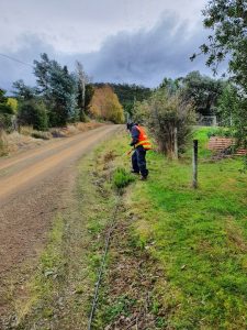 Spanish heath weed management KC crew
