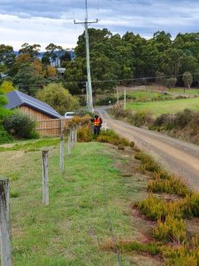 Spanish heath weed management KC crew