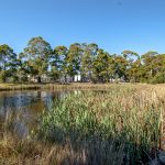 Coffee Creek thumbnail