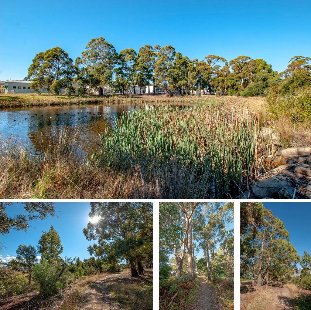 Coffee Creek collage