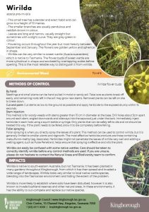 flyer wirilda - march 2025