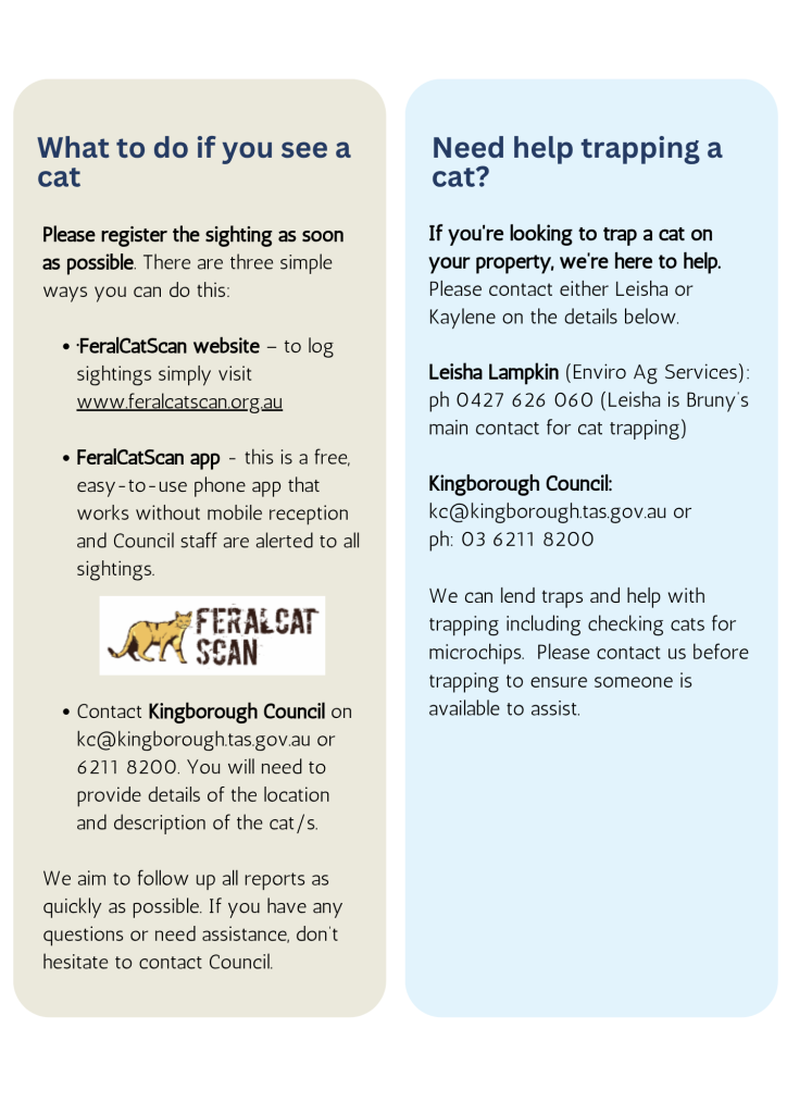 managing cats details KC