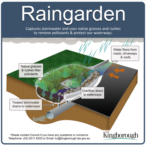 Raingarden - kingborough council